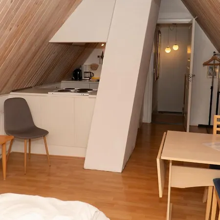 Plesners Anneks Apartment *