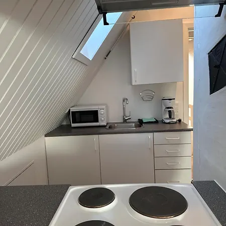 Plesners Anneks Apartament Skagen